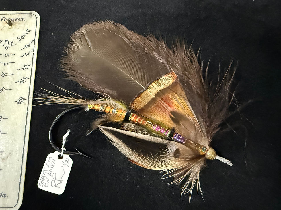 Thumbnail: Splash Golden  Pheasant Tippets RARE RARE