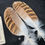 Thumbnail: Florican Bustard Feathers  as shown 7/0+ #89