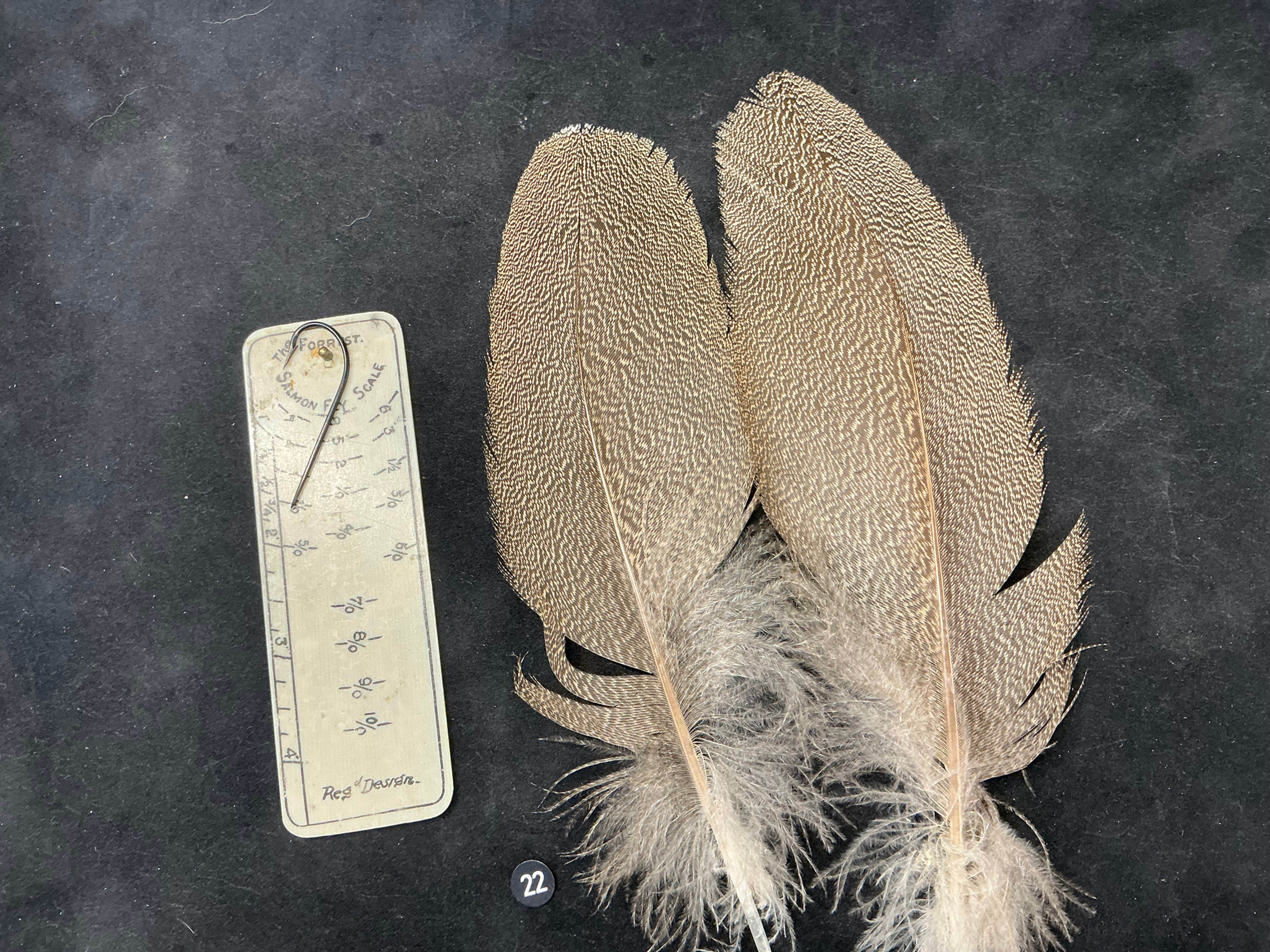 Kori Bustard  feathers  as shown 5/0 #22