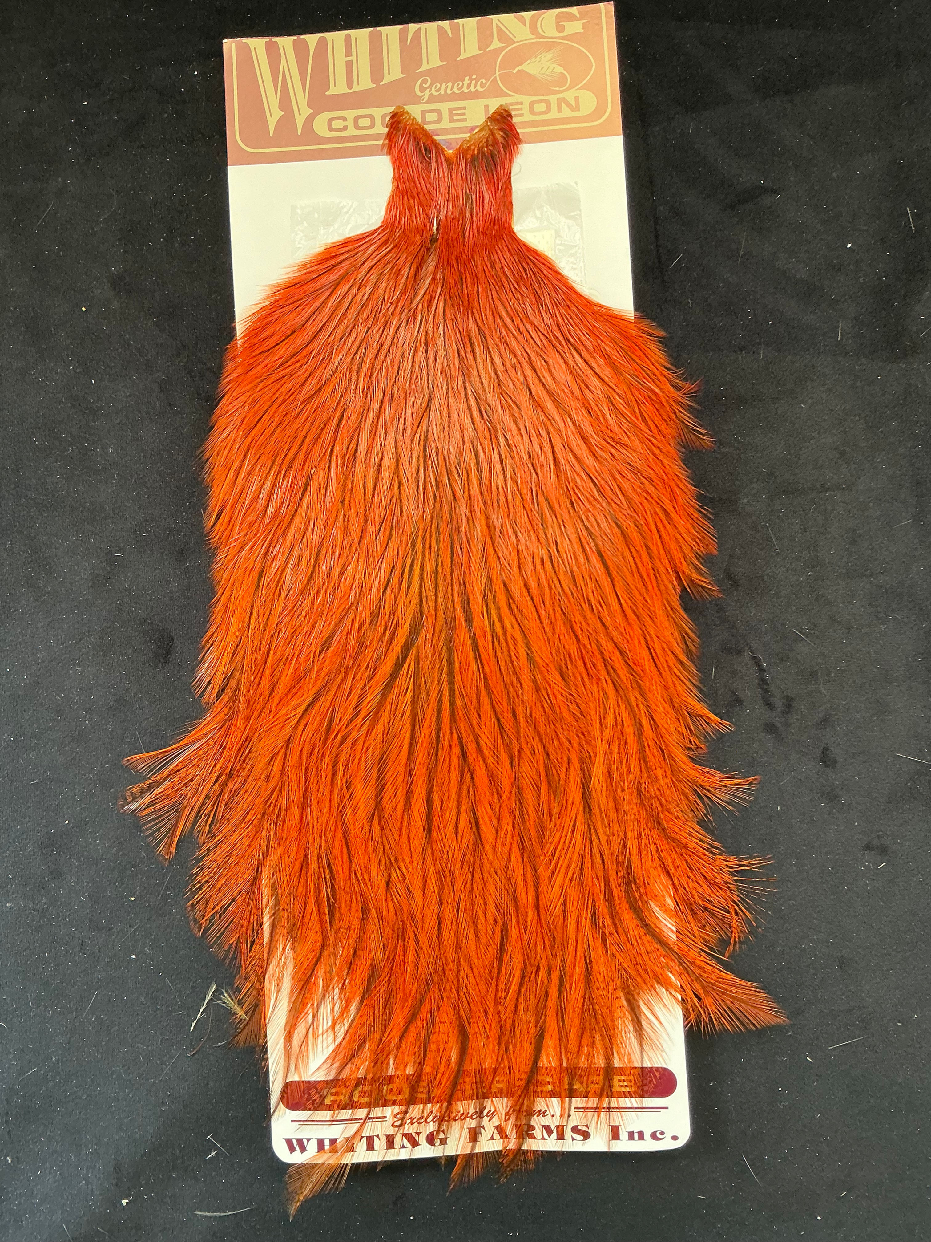 Vintage Whiting Coq De Leon Badger Cape Lucas Collection