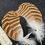 Thumbnail: Florican Bustard Feathers  as shown 10/0 #95