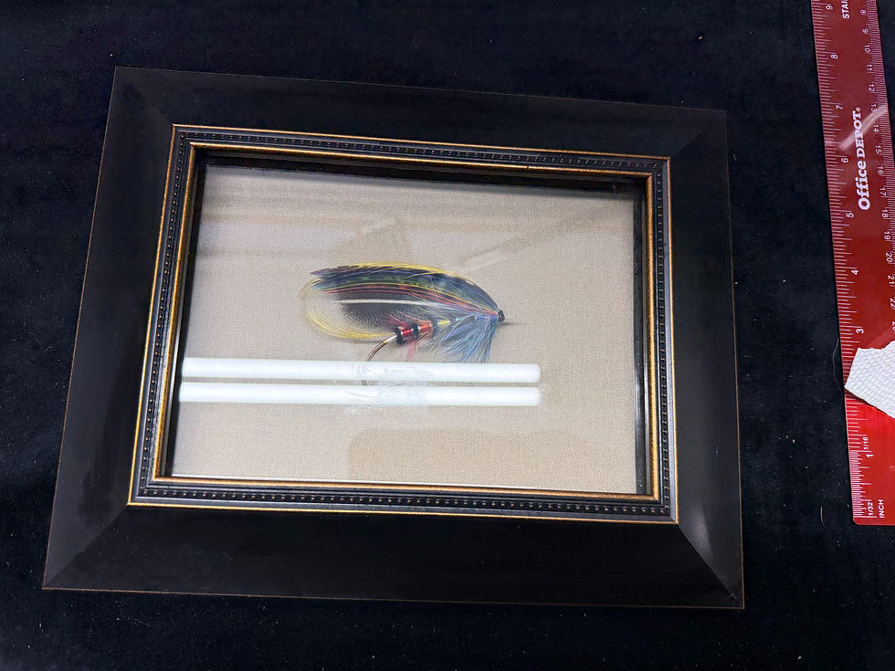 Thumbnail: Dr. James Goggans framed  Salmon Fly