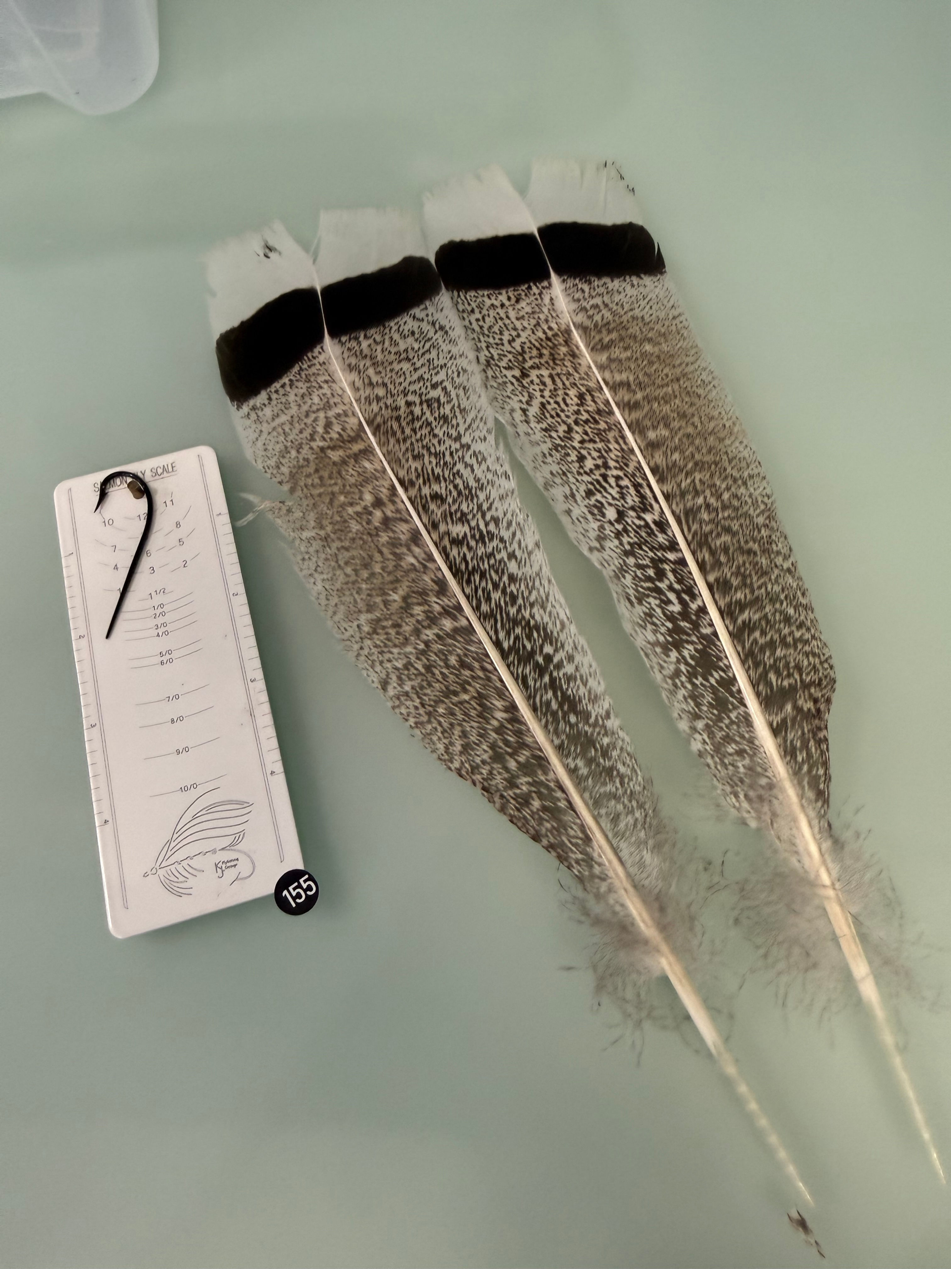 Lucas/Cullen Premium Turkey Feathers 155A