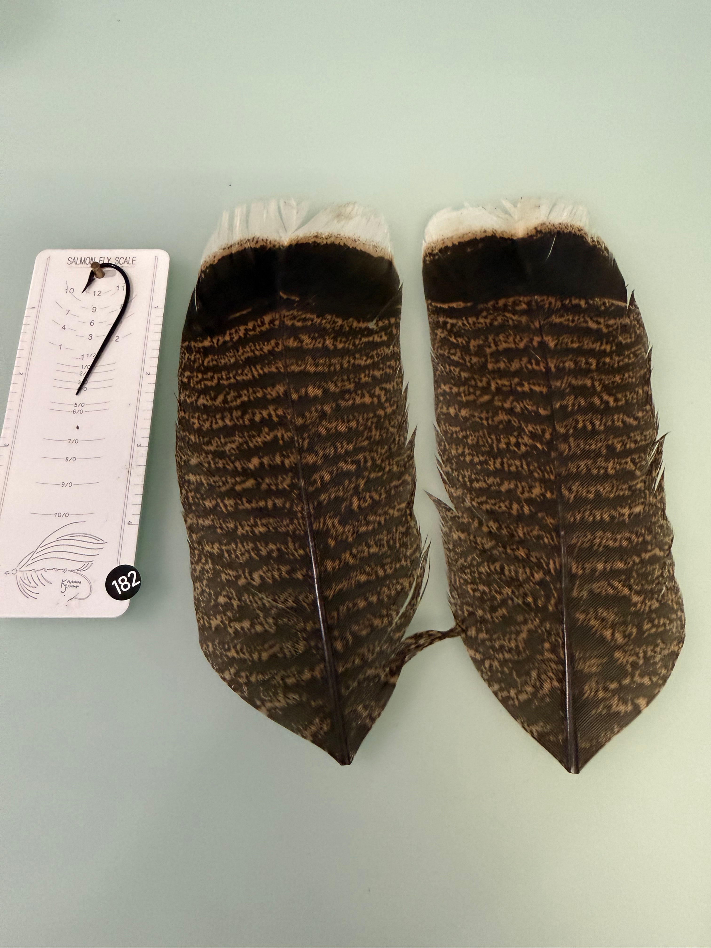 ucas/Cullen Premium White Tipped Turkey Feathers 182A