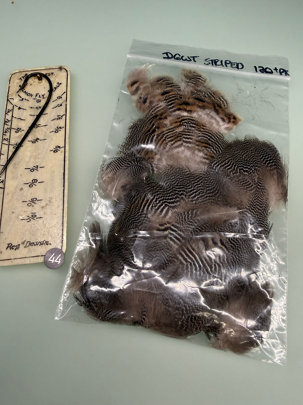 Thumbnail: Green Wing Teal Stripped body 120+ Feathers #44