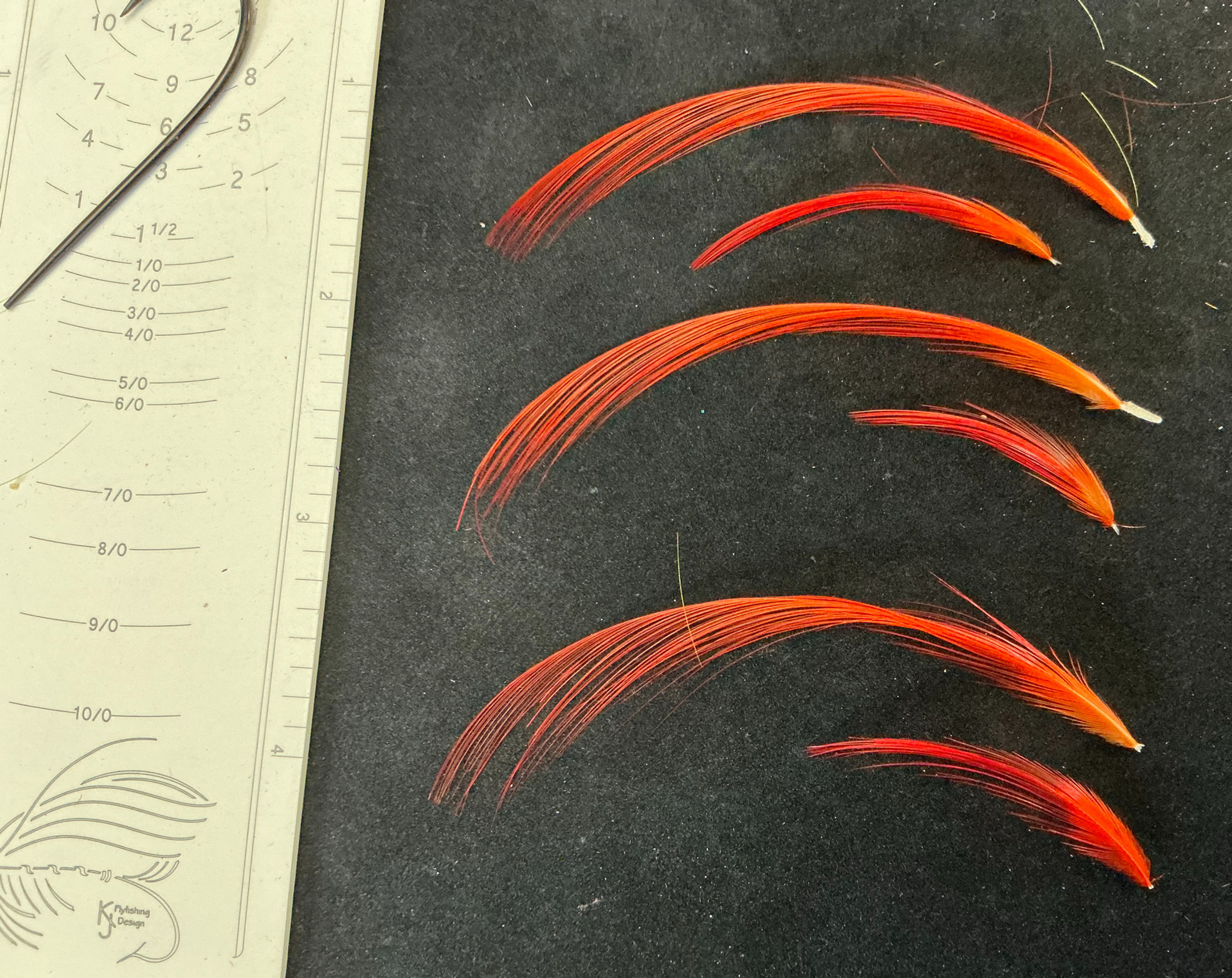 Golden Pheasant Dyed Toppings and tails