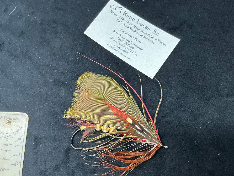 Ronn Lucas Salmon Fly R27