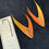 Thumbnail: Macaw tail feathers