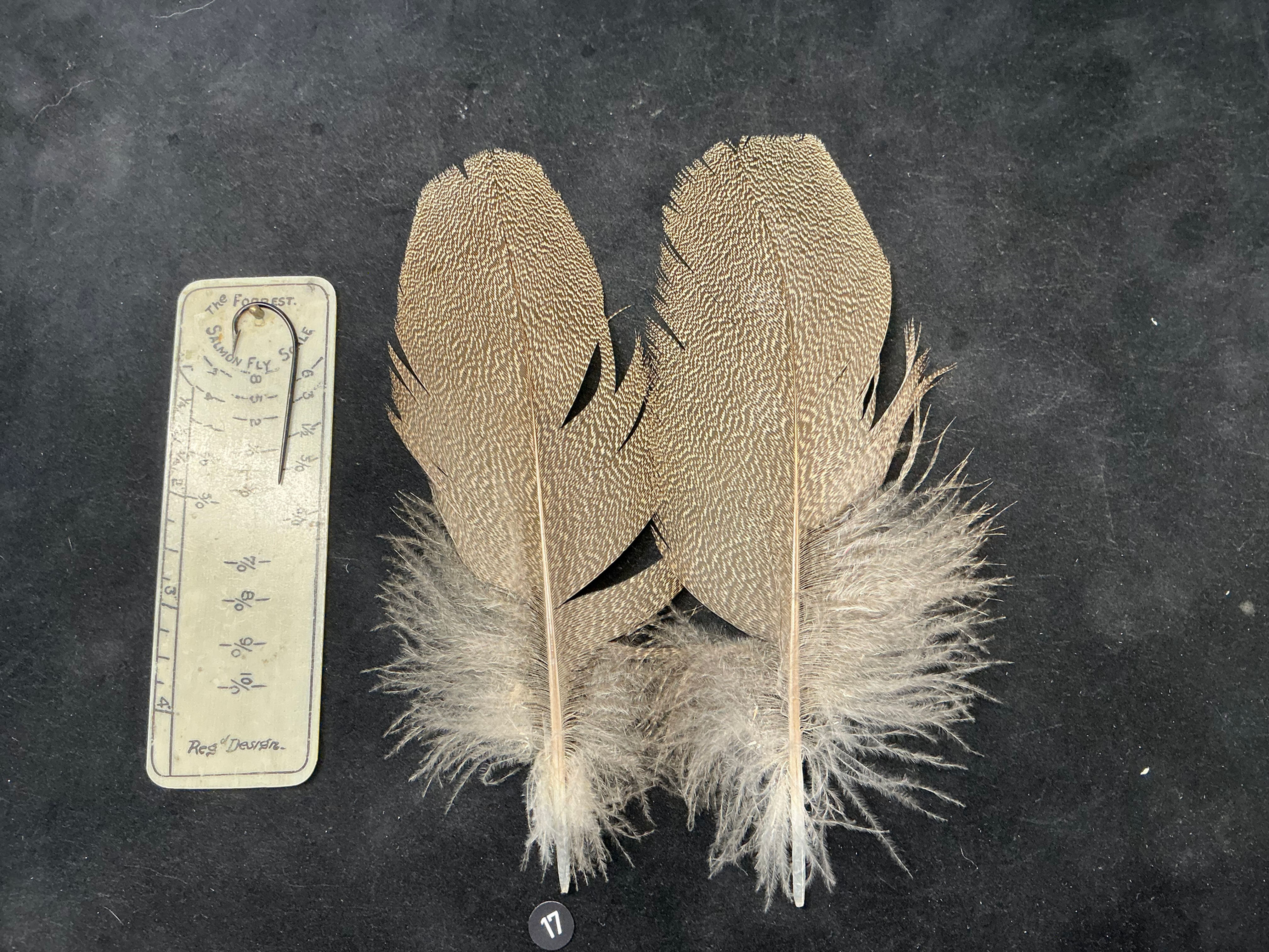 Kori Bustard  feathers  as shown 4/0 #17