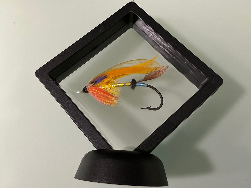 Thumbnail: Dr. James Goggans  Salmon Fly GJ11