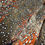 Thumbnail: Satyr Tragopan bird skin from Ronn Lucas Collection