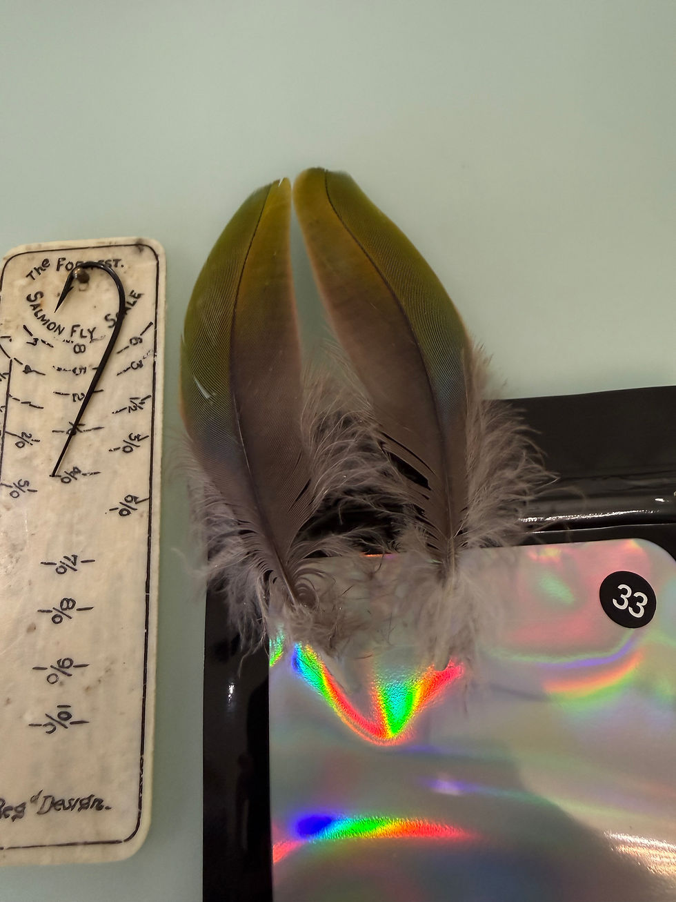 Thumbnail: Matched  Macaw/Eclectus feathers for  Salmon Flies 20-33