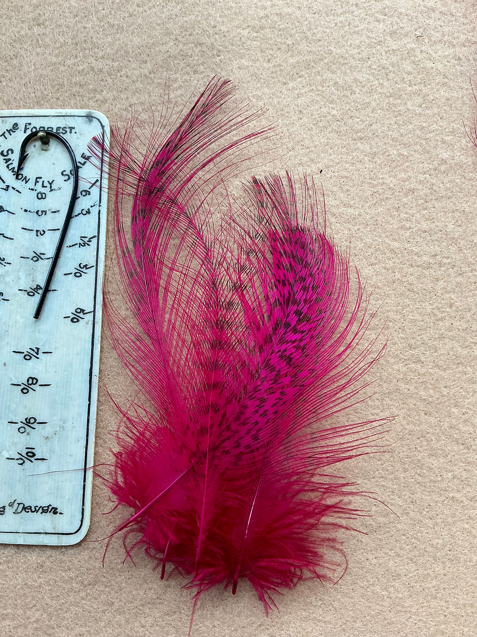 Thumbnail: Kori Bustard neck feathers in colors shown