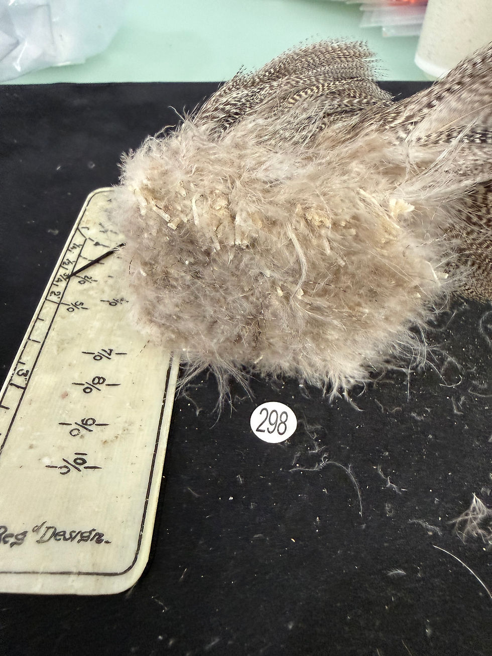 Thumbnail: Vintage Large Clump of  Premium Teal Duck feathers 298