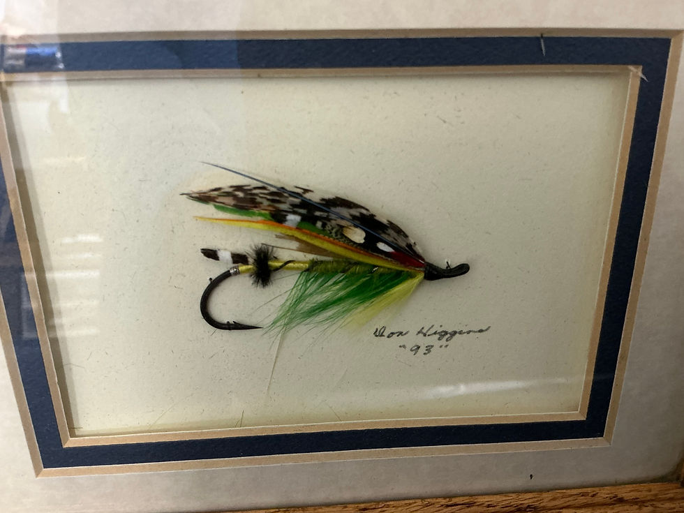 Thumbnail: Don Higgins framed  Salmon Fly