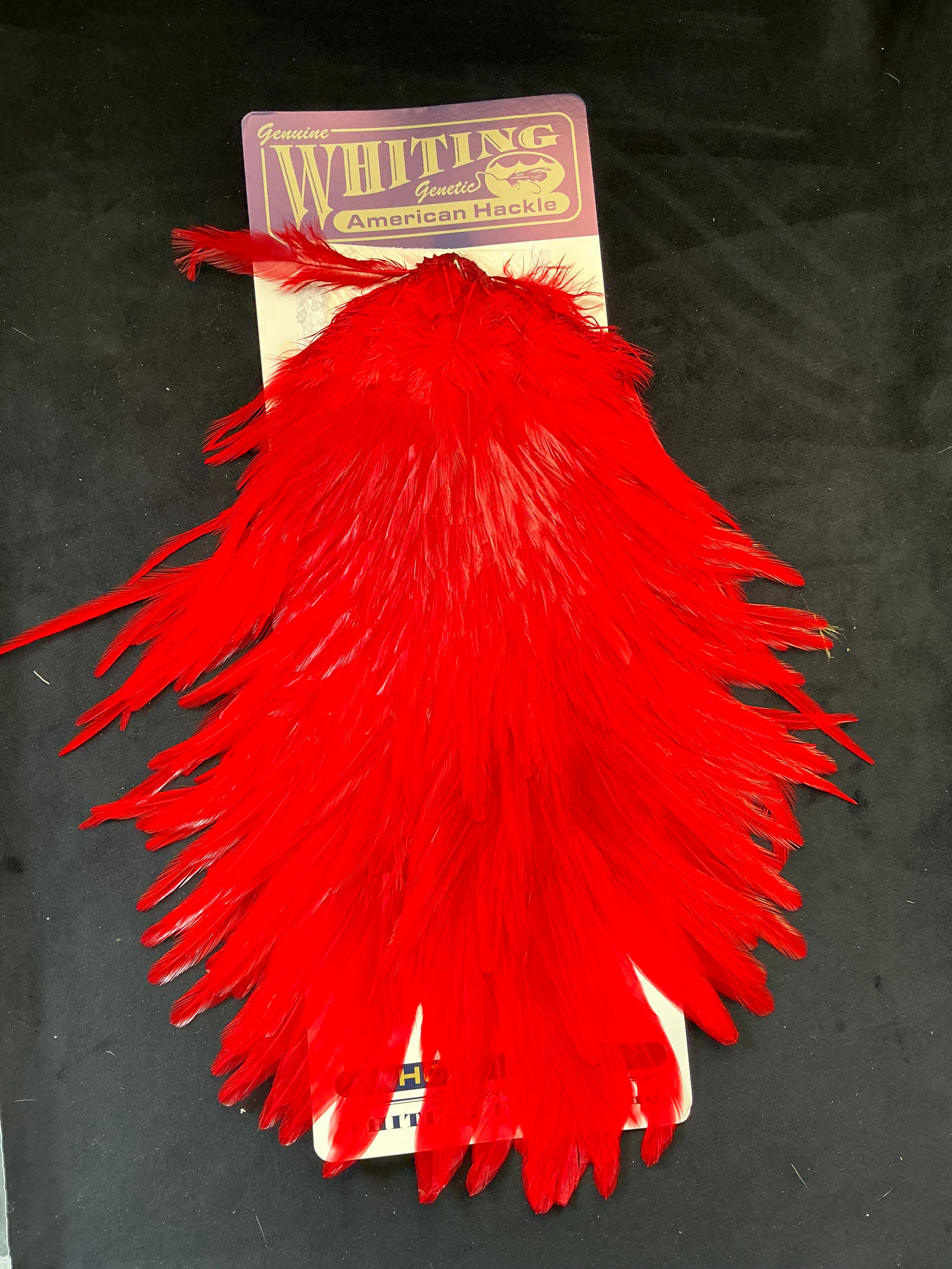 Vintage Whiting American Genetic Saddle Hackle from Cullen Collection