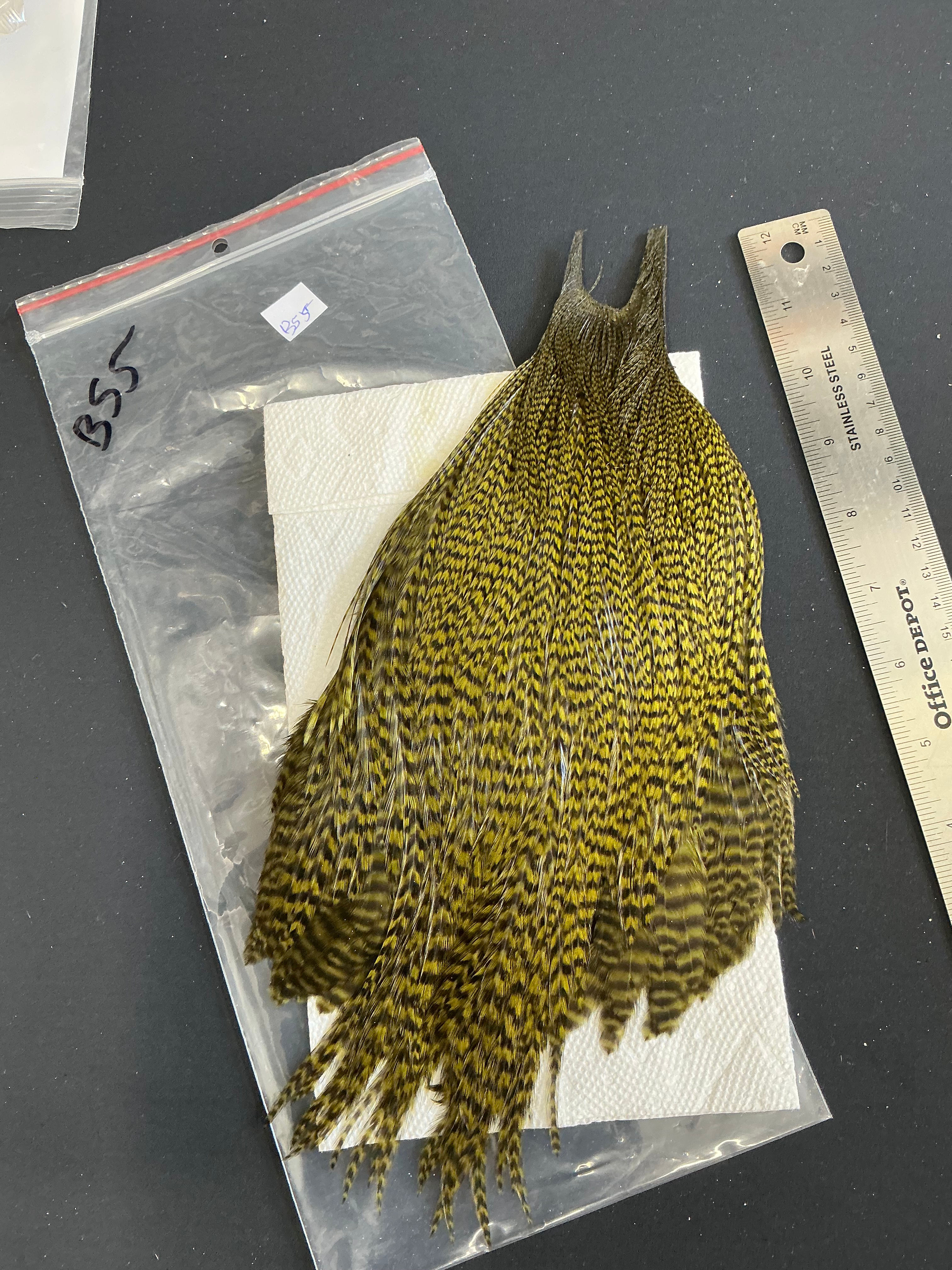 Vintage Cree Neck #1 Grade Lucas Collection B55