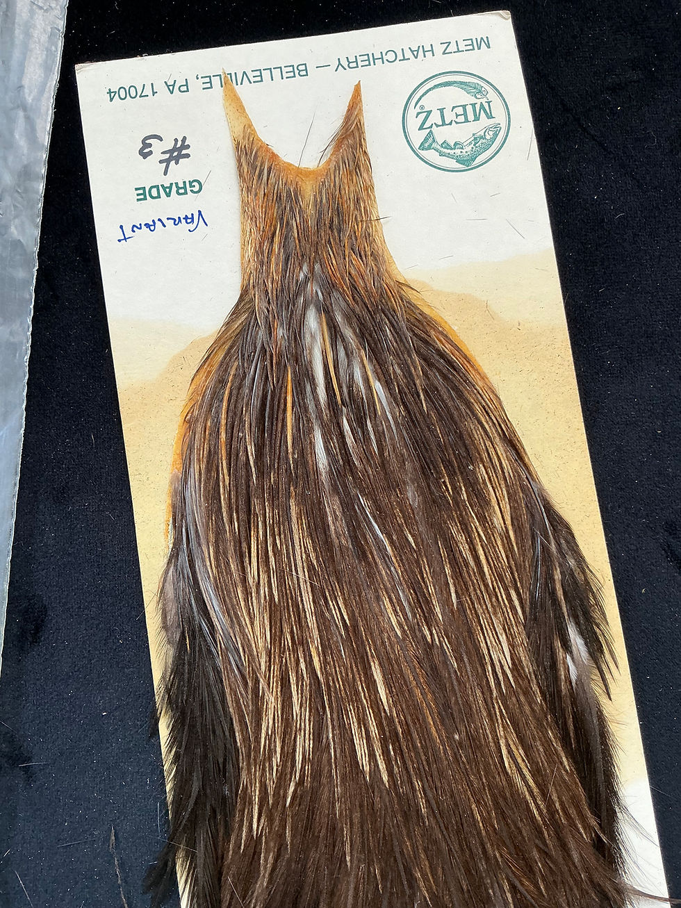 Thumbnail: Vintage Metz Variant Dry Fly Neck from Lucas Collection