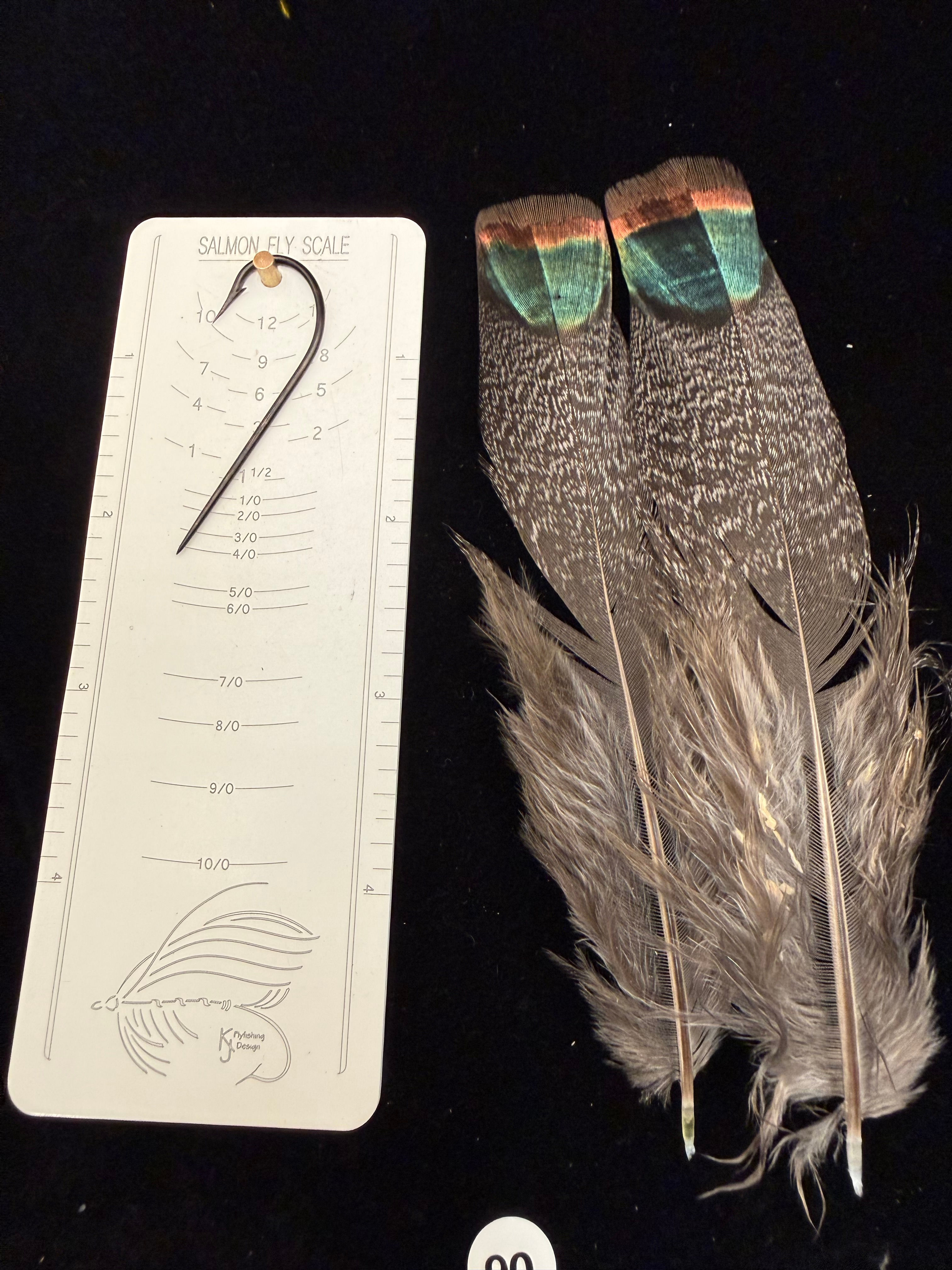 Ocellated Turkey Tail/Tail Covert Feathers #90
