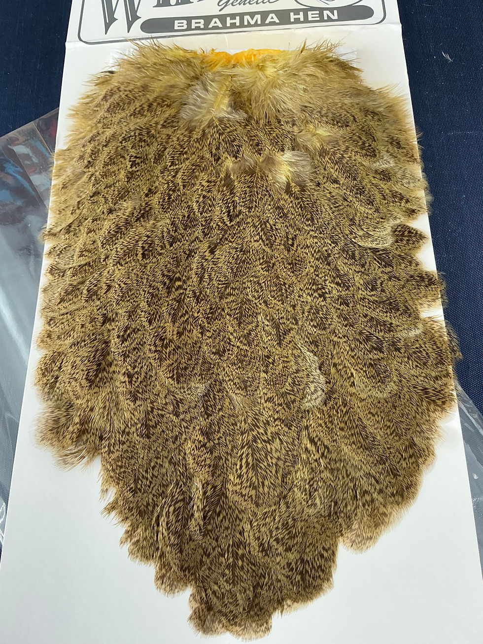 Thumbnail: Vintage Whiting American Brahma Hen Saddle  Hackle N23