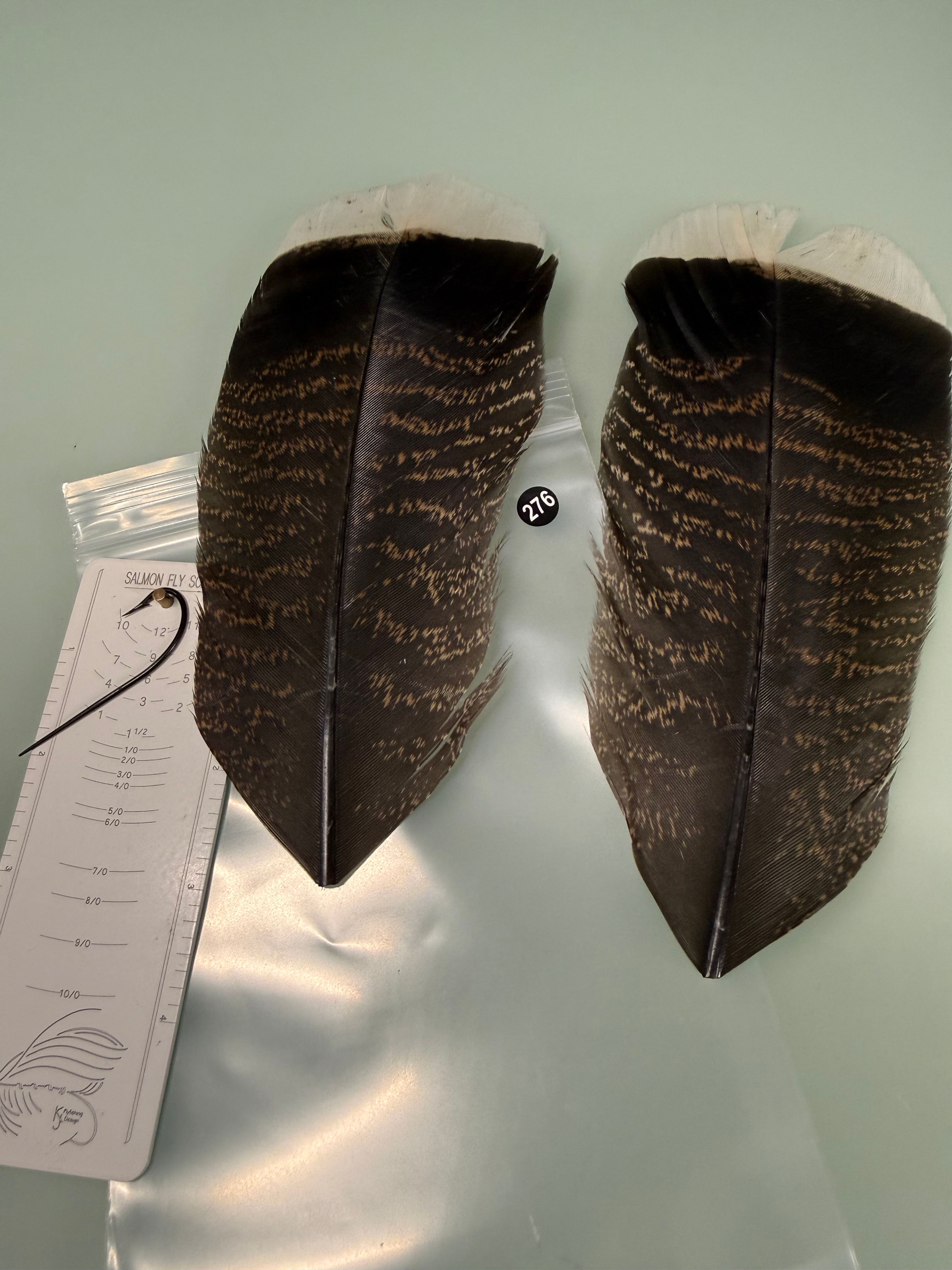 Lucas Premium White Tipped Turkey Feathers 276A