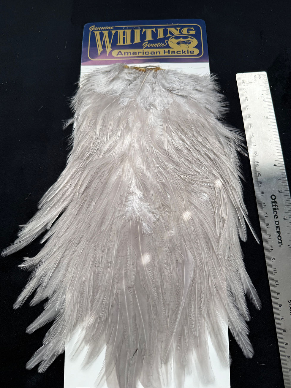 Thumbnail: Vintage Whiting American Genetic Saddle Hackle from Cullen Collection S14