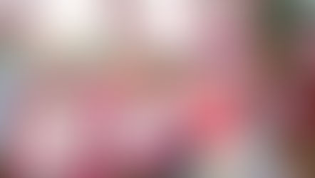 What Was Roe V Wade, and Why is it So Important?