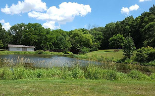 Parks-Calhoun.jpg