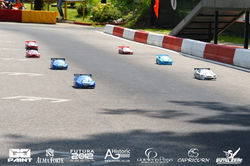 DSC_6244 (Copia) (Copia)