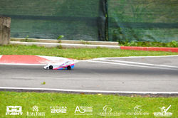 DSC_6176 (Copia) (Copia)