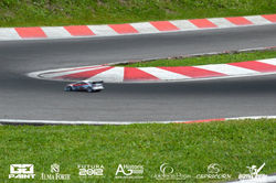 DSC_6216 (Copia) (Copia)