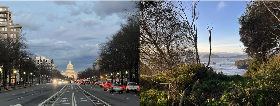 Photos taken by Renata Urbina De la Flor