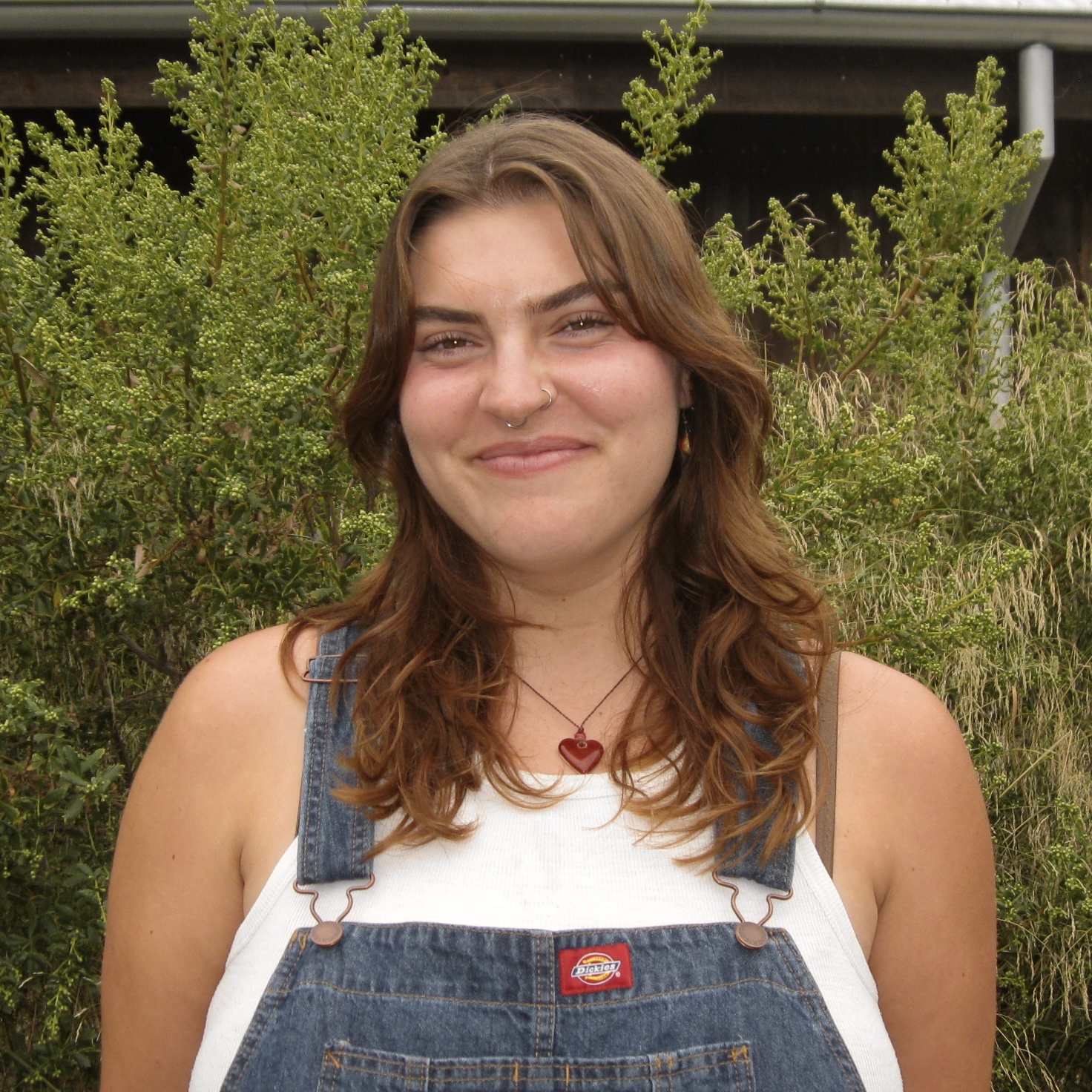 Writer: Sophie De Groot