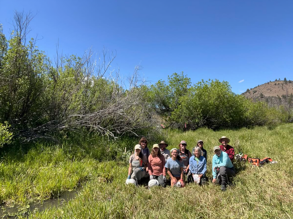 Mathilda's California Naturalist cohort (and friends) at Beaver Valley Headwaters Preserve