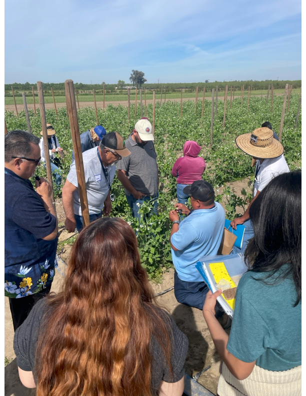 Microscopic, Macro-Impact: IPM