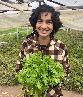 Writer: Alexandra Acosta