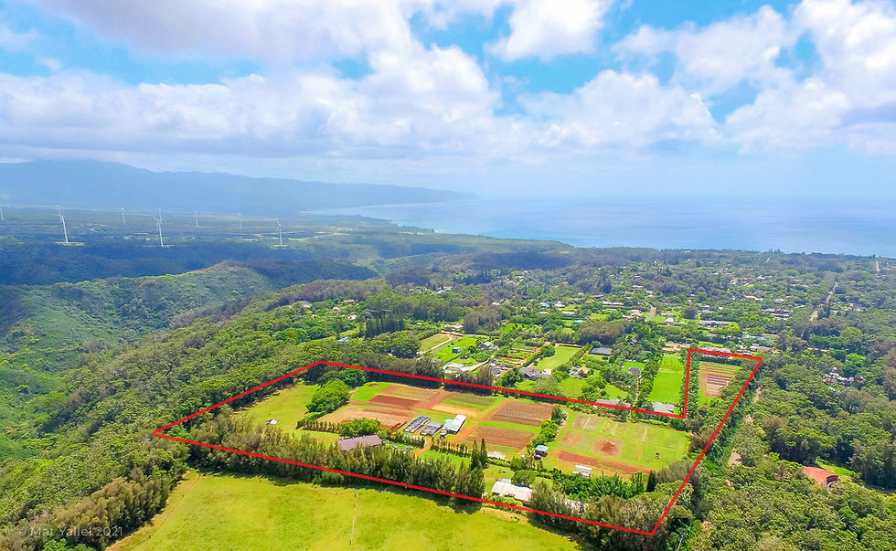 59-705 Pupukea Rd, Haleiwa (16 Acres) Edited-010 RED