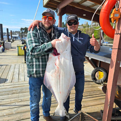 Large halibut catch Vancouver Island fishing trip