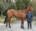 Tashkhan_3601_edited.jpg