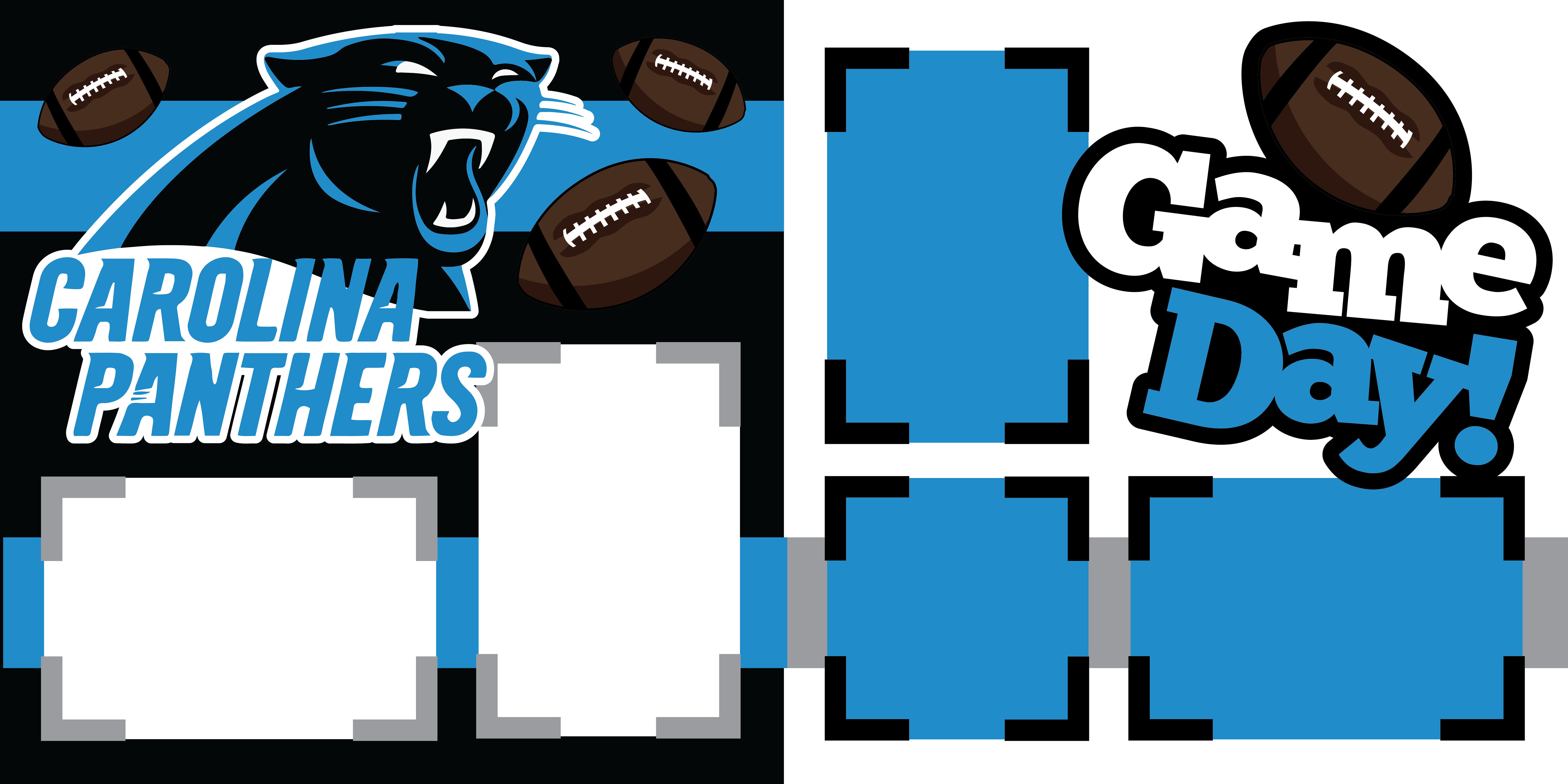 Carolina Panthers Game Day