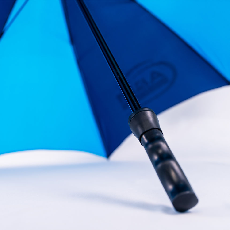 Thumbnail: A&M Umbrella