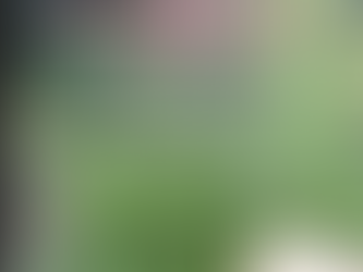 Native Plants: Removing Poison Natives & Invasives!