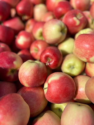 nrtf-apple-ambrosia-2.jpg