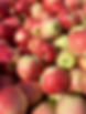 nrtf-apple-ambrosia-2.jpg