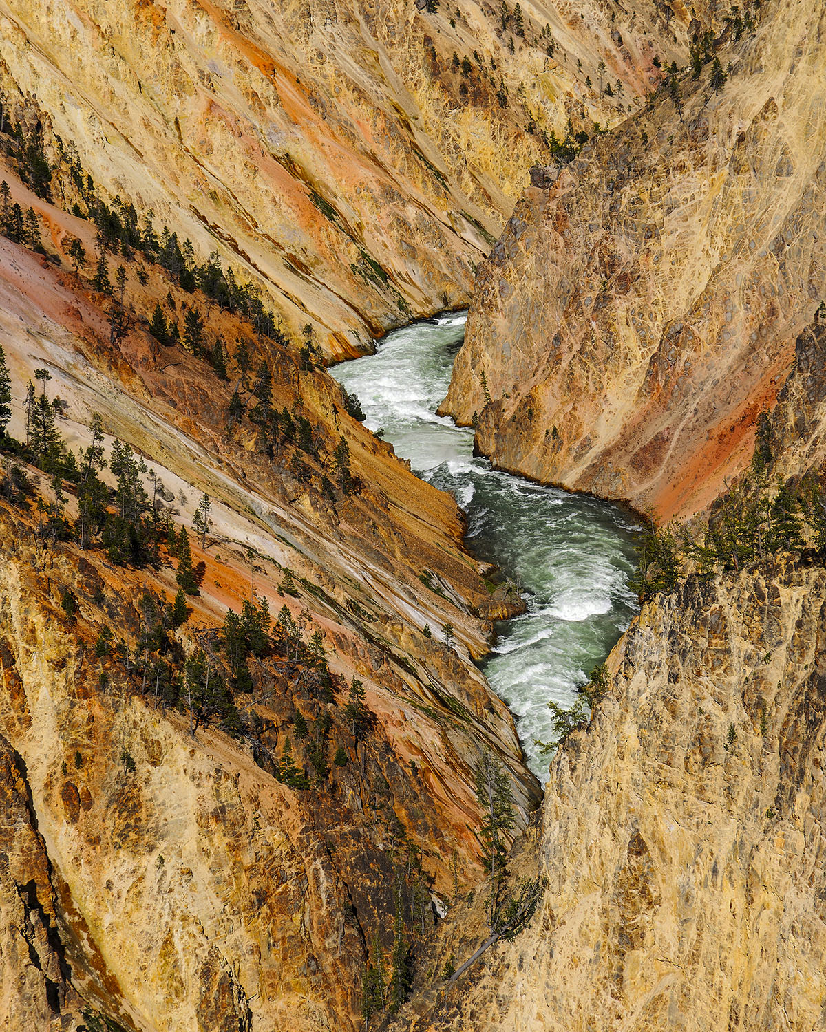 Yellowstone River