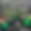 Thumbnail: Forever Flowers