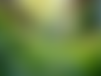 The Importance of Sustainable Living in Today's World