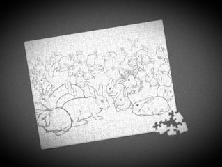 THE BUNNIES OF UVIC or BEWARE THE RABBIT PEOPLE