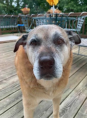 Cooper update Aug 2020.jpg