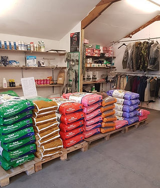 Dyfnog Stud shop.jpg